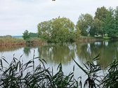 Parduodamas žemes ūkio žemes sklypo plotas 8 - nuotraukos Nr. 31