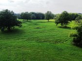 Parduodamas išskirtinis 5,06 ha sklypas ant - nuotraukos Nr. 12
