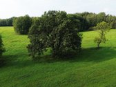 Parduodamas išskirtinis 5,06 ha sklypas ant - nuotraukos Nr. 14