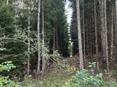 Parduodamas išskirtinis 5,06 ha sklypas ant - nuotraukos Nr. 16