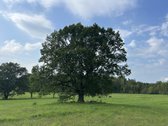 Parduodamas išskirtinis 5,06 ha sklypas ant - nuotraukos Nr. 17