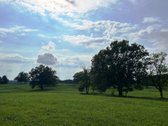 Parduodamas išskirtinis 5,06 ha sklypas ant - nuotraukos Nr. 19