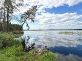 Parduodamas 8,1889 Ha Sklypas Su Rąstiniu 61 - nuotraukos Nr. 34