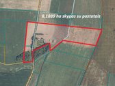Parduodamas 8,1889 Ha Sklypas Su Rąstiniu 61 - nuotraukos Nr. 35