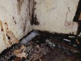 2 kambarių butas su rūsiu ir dalimi žemės sklypo  - nuotraukos Nr. 13