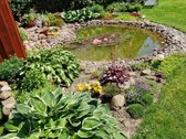 Parduodamas namas Nemakščių miestelyje, kuris - nuotraukos Nr. 5