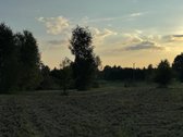 Namų valdos sklypas 95,03 arų su kokybiškai - nuotraukos Nr. 4