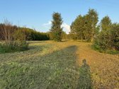 Namų valdos sklypas 95,03 arų su kokybiškai - nuotraukos Nr. 5