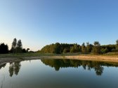Namų valdos sklypas 95,03 arų su kokybiškai