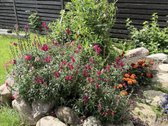 Parduodamas 2023 m. statybos namas su - nuotraukos Nr. 36