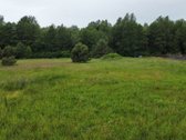 Palanga - Naujas Žemės Sklypų Kvartalas - nuotraukos Nr. 15