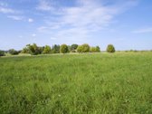 Alytaus R., Luksnėnų K., parduodamas sklypas - nuotraukos Nr. 4