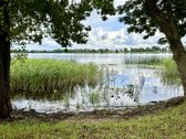 Svajojate apie namą ant ežero kranto? Tai - nuotraukos Nr. 10