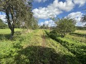 Parduodama sodyba su posodybiniu 1,4427 ha - nuotraukos Nr. 17