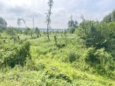 Parduodamas Sklypas Prie Seirijo Ežero – - nuotraukos Nr. 7