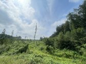 Parduodamas Sklypas Prie Seirijo Ežero – - nuotraukos Nr. 8