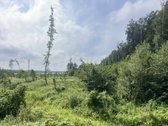 Parduodamas Sklypas Prie Seirijo Ežero – - nuotraukos Nr. 9
