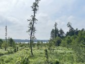 Parduodamas Sklypas Prie Seirijo Ežero – - nuotraukos Nr. 10