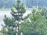 Parduodamas Sklypas Prie Seirijo Ežero – - nuotraukos Nr. 14