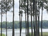 Parduodamas Sklypas Prie Seirijo Ežero – - nuotraukos Nr. 18