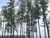 Parduodamas Sklypas Prie Seirijo Ežero – - nuotraukos Nr. 20