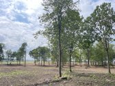 Parduodami Komercinės Paskirties Sklypai, - nuotraukos Nr. 4
