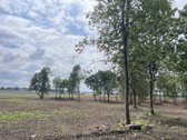 Parduodami Komercinės Paskirties Sklypai, - nuotraukos Nr. 5