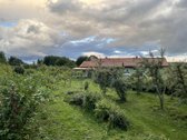 Šalia brandžių beržų parduodamas dviejų - nuotraukos Nr. 2