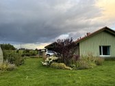 Šalia brandžių beržų parduodamas dviejų - nuotraukos Nr. 4