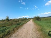 Parduodamas žemės ukio paskirties sklypas 1 - nuotraukos Nr. 7