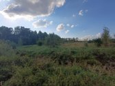 Parduodamas žemės ukio paskirties sklypas 1 - nuotraukos Nr. 5