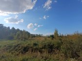 Parduodamas žemės ukio paskirties sklypas 1 - nuotraukos Nr. 6