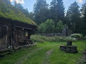 Vilniaus rajone, šalia Arvydų, parduodama - nuotraukos Nr. 6