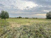 Ąžuolų gyvenamųjų namų kvartalas Stetiškėse - nuotraukos Nr. 9