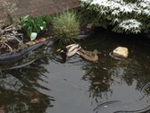 Parduodamas individualaus projekto pilnai - nuotraukos Nr. 20