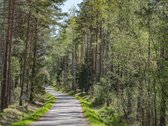 Didelė, daugiau nei pusės hektaro namų valda - nuotraukos Nr. 31