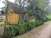 Parduodamas sodo sklypas su rąstiniu nameliu, - nuotraukos Nr. 8