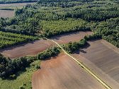 Parduodamas 6,50 ha žemės ūkio paskirties - nuotraukos Nr. 2