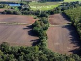 Parduodamas 6,50 ha žemės ūkio paskirties - nuotraukos Nr. 3