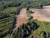 Parduodamas 6,50 ha žemės ūkio paskirties - nuotraukos Nr. 4