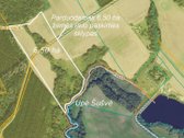Parduodamas 6,50 ha žemės ūkio paskirties - nuotraukos Nr. 6