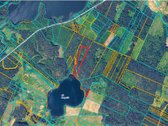 214 a žemės sklypas Lazdijų raj. Pazapsių k., - nuotraukos Nr. 12