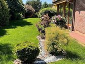 Pardavėjo Dovana -papildoma aikštelė, išklota - nuotraukos Nr. 42