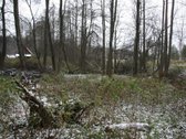 Sklypas ant pauosupės upelio kranto, yra sena - nuotraukos Nr. 5
