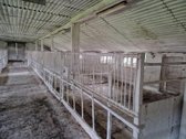 Parduodama ferma Kalnujų miestelyje, 1 km nuo - nuotraukos Nr. 22