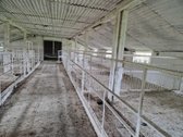 Parduodama ferma Kalnujų miestelyje, 1 km nuo - nuotraukos Nr. 25
