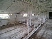 Parduodama ferma Kalnujų miestelyje, 1 km nuo - nuotraukos Nr. 26