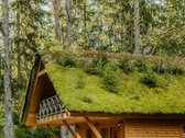 Parduodama Pilnai Įrengta Kaimo Turizmo - nuotraukos Nr. 17
