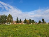 Gražioje ir ramioje vietoje Maciuičiuose - nuotraukos Nr. 2