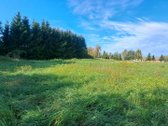 Gražioje ir ramioje vietoje Maciuičiuose - nuotraukos Nr. 5